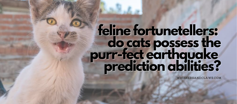 Feline Fortunetellers: Do Cats Possess the Purr-fect Earthquake Prediction Abilities?