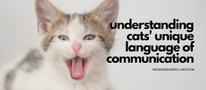 Understanding Cats' Unique Language of Communication