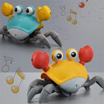 Crawling Crab Cat Toy
