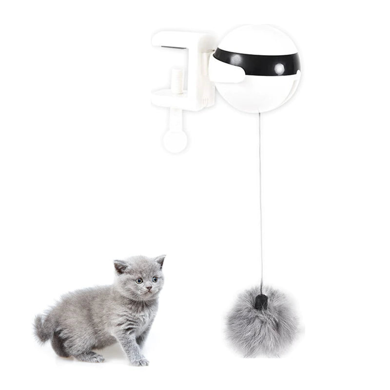 Pounce sales cat toy