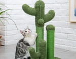 Cactus Scratch Post