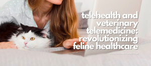 Telehealth and Veterinary Telemedicine: Revolutionizing Feline Healthcare