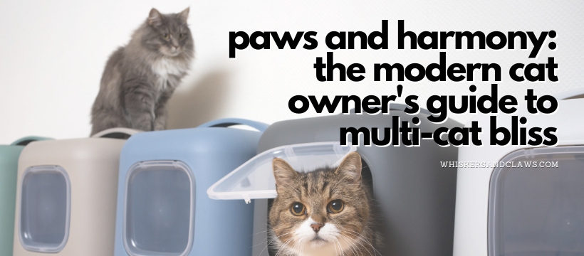 Paws and Harmony: The Modern Cat Owner's Guide to Multi-Cat Bliss
