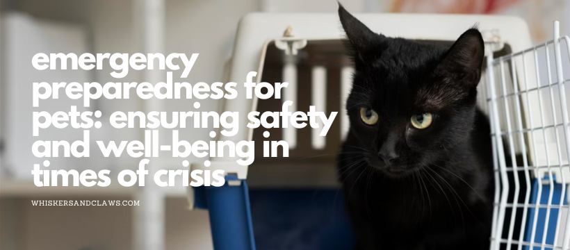 Emergency Preparedness for Pets: Ensuring Safety and Well-being in Times of Crisis