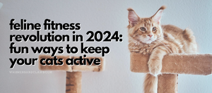 Feline Fitness Revolution in 2024: Fun Ways to Keep Your Cat Active