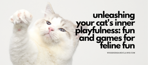 Unleashing Your Cat's Inner Playfulness: Fun and Games for Feline Fun