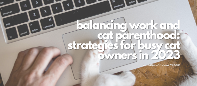 Balancing Work and Cat Parenthood: Strategies for Busy Cat Owners in 2024