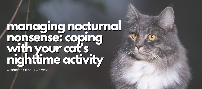 Managing Nocturnal Nonsense: Coping with Your Cat's Nighttime Activity