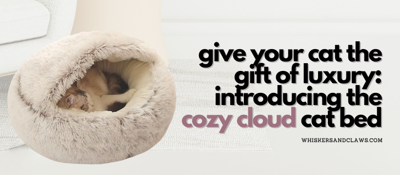 Give Your Cat the Gift of Luxury: Introducing the Cozy Cloud Cat Bed