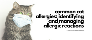 Common Cat Allergies: Identifying and Managing Allergic Reactions