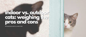 Indoor vs. Outdoor Cats: Weighing the Pros and Cons