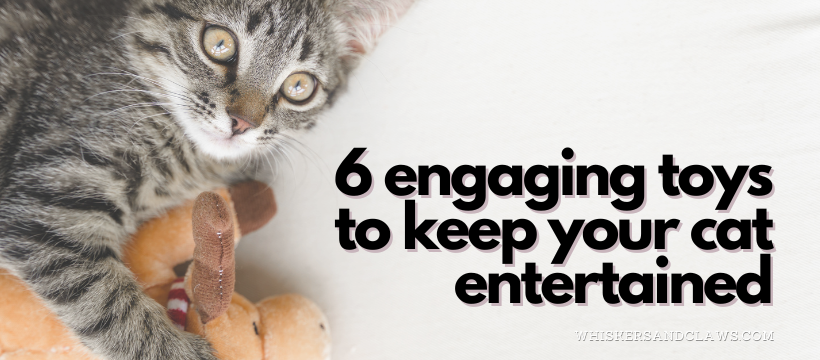 6 Engaging Toys to Keep Your Cat Entertained