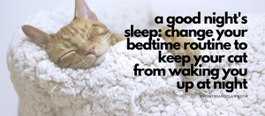 A Good Night's Sleep: Change Your Bedtime Routine to Keep Your Cat from Waking You Up at Night