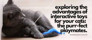 Exploring the Advantages of Interactive Toys for Your Cats: The Purr-fect Playmates.