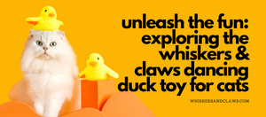 Unleash the Fun: Exploring the Whiskers & Claws Dancing Duck Toy for Cats