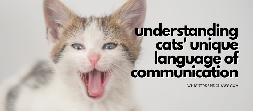Understanding Cats' Unique Language of Communication