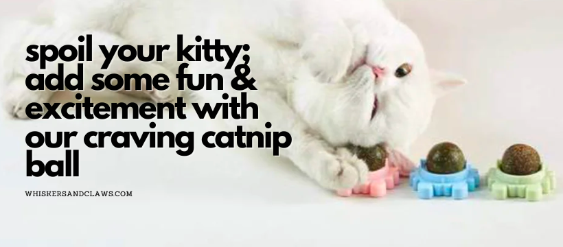 🐱  Spoil Your Kitty; Add Some Fun & Excitement with Our Craving Catnip Ball 🐱