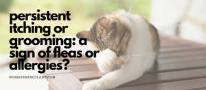 Persistent Itching or Grooming: A Sign of Fleas or Allergies?