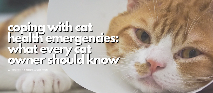 Coping with Cat Health Emergencies: What Every Cat Owner Should Know in 2023