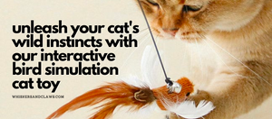 Unleash Your Cat's Wild Instincts with our Interactive Bird Simulation Cat Toy