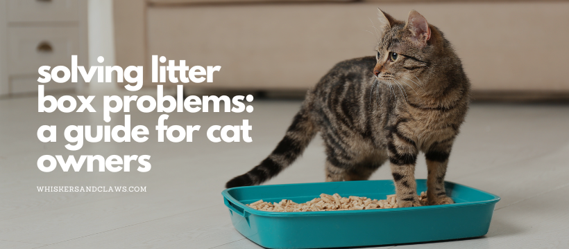 Solving Litter Box Problems: A Guide for Cat Owners