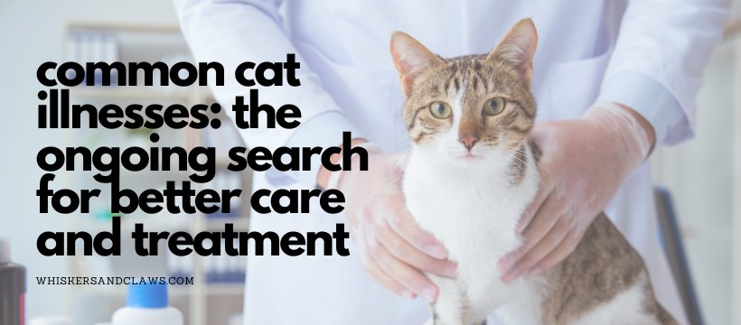 Common Cat Illnesses: The Ongoing Search for Better Care and Treatment