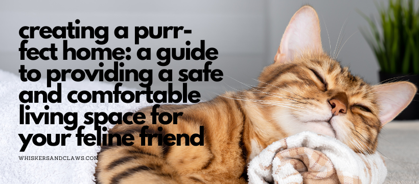 Creating a Purr-fect Home: A Guide to Providing a Safe and Comfortable Living Space for Your Feline Friend
