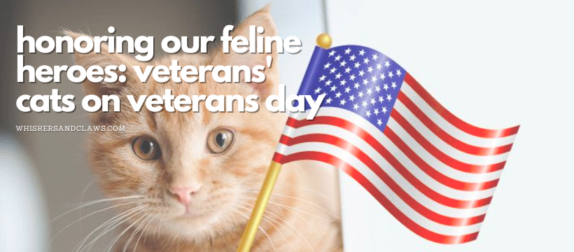 Honoring Our Feline Heroes: Veterans' Cats on Veterans Day