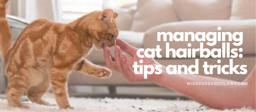 Managing Cat Hairballs: Tips and Tricks