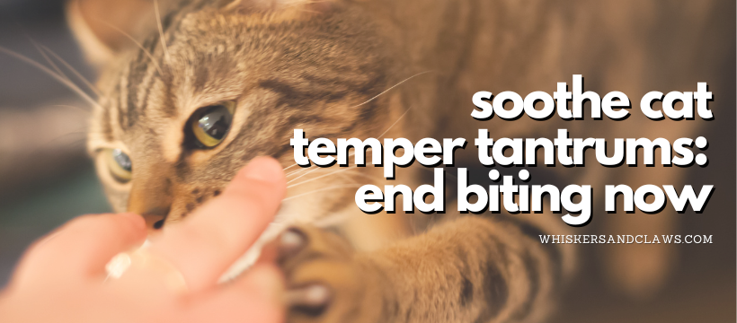Soothe Cat Temper Tantrums: End Biting Now