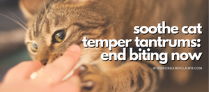 Soothe Cat Temper Tantrums: End Biting Now