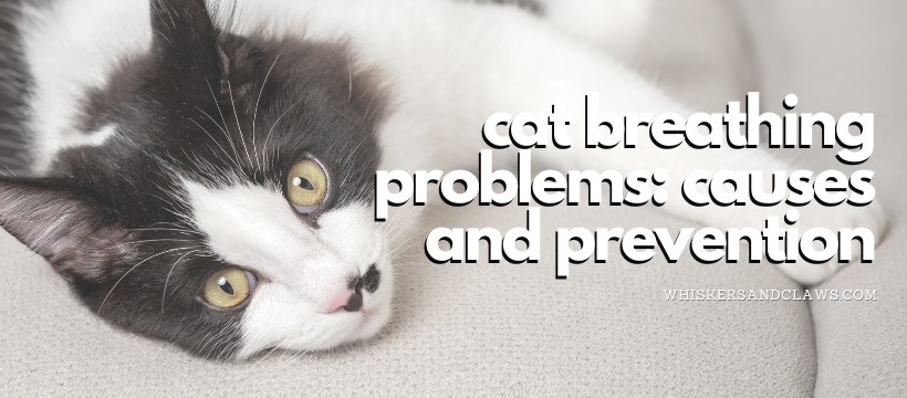 Cat Breathing Problems: Causes and Prevention