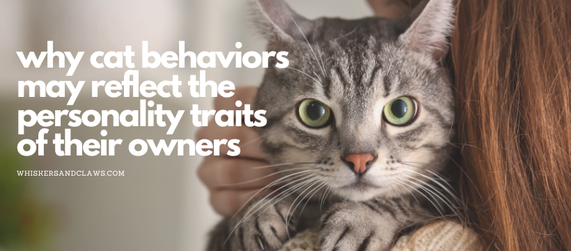 Why Cat Behaviors May Reflect the Personality Traits of Their Owners