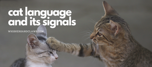 Cat Language and Its Signals