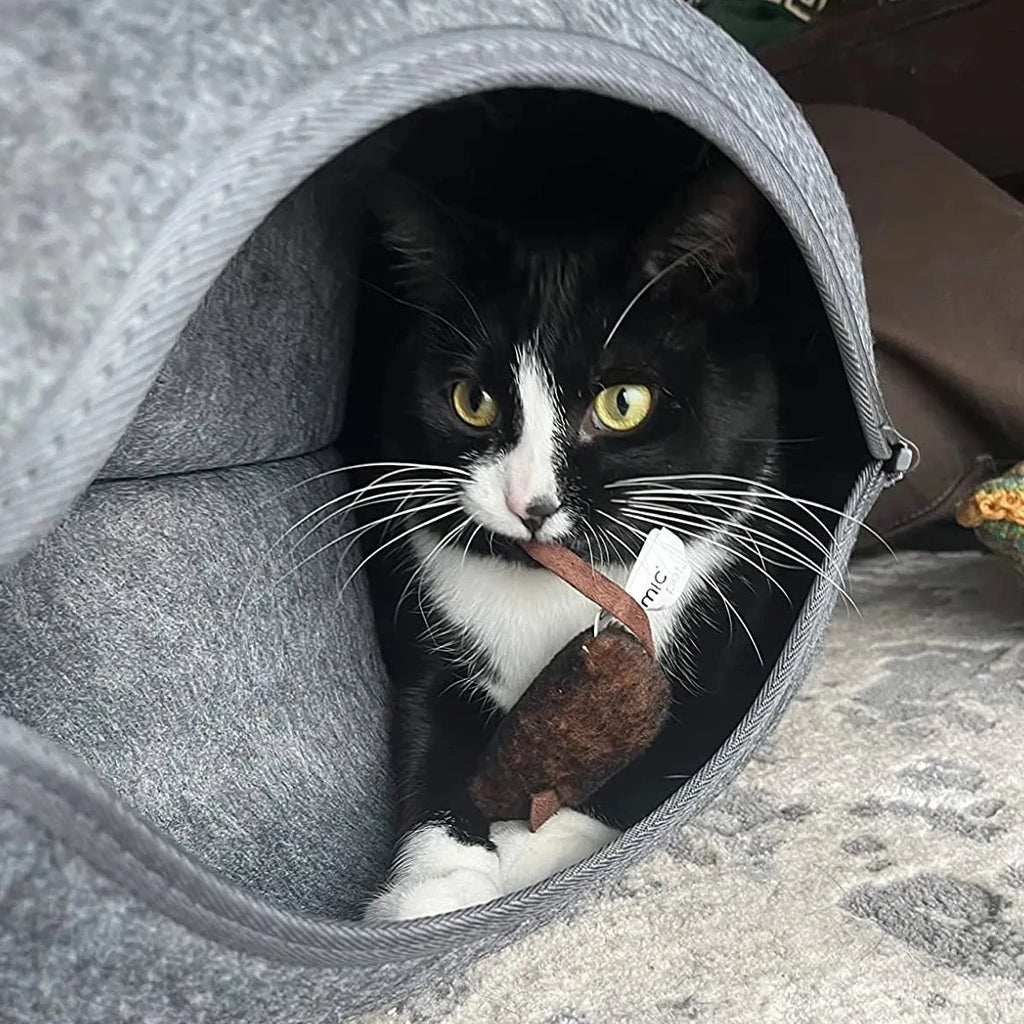 Whiskers & co cat bed deals