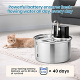 The CatStream™ Wireless Fountain