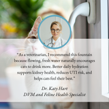 The CatStream™ Wireless Fountain