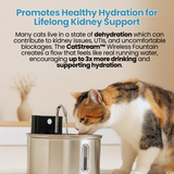 The CatStream™ Wireless Fountain