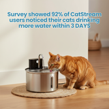 The CatStream™ Wireless Fountain