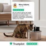 The CatStream™ Wireless Fountain