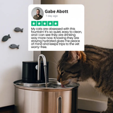 The CatStream™ Wireless Fountain