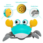Crawling Crab Cat Toy