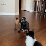 Flap N' Fly Bird Toy