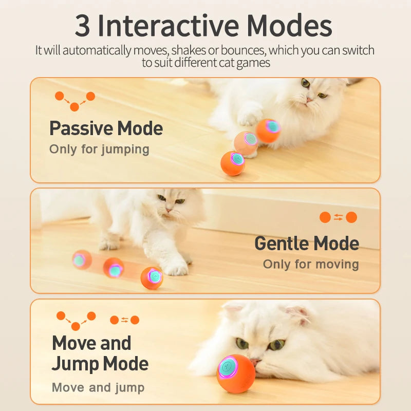 CatBounce Pro