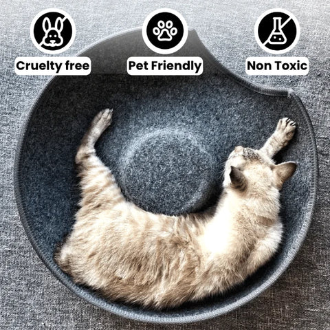 Cruelty free cat shop litter