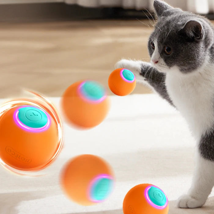 CatBounce Pro