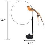 Flap N' Fly Bird Toy