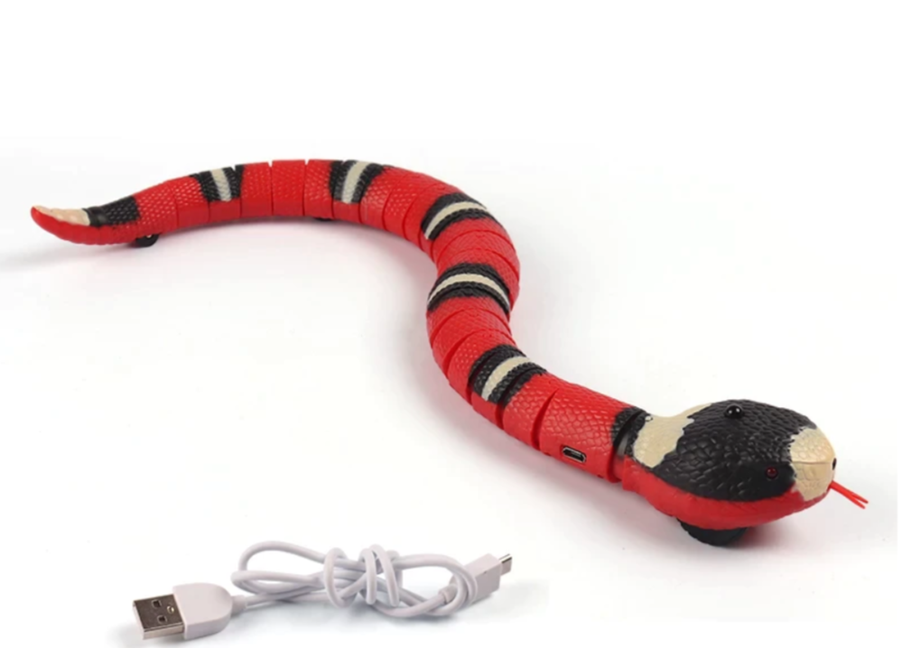 Snake cat best sale toy