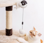 Bounce-N-Pounce Ball
