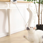 Bounce-N-Pounce Ball